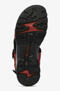 ecco Vandresandaler Ecco Offroad