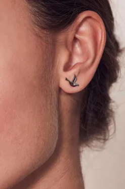 Edblad Øreringe Dove Studs Steel