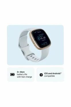 Fitbit Sense 2, Blue Mist/Soft Gold