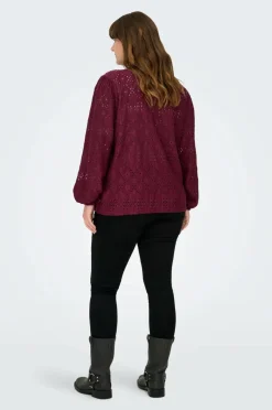 Only Carmakoma Blondebluse carLuzia L/ V-neck Blouse Jrs