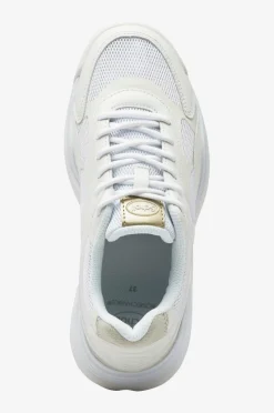 Scholl Walkingsko Walker