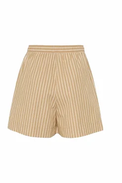 Soaked in Luxury Shorts slKaily