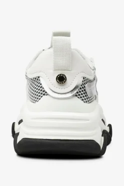 Steve Madden Kondisko Possession-E Sneaker